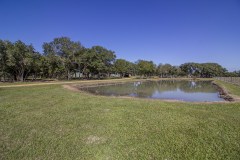 IMG_7279