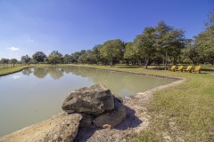 IMG_7293