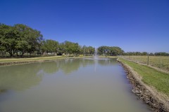 IMG_7402