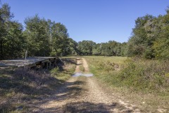 IMG_7410