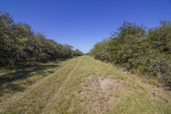 IMG_7420