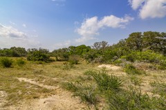 IMG_8192