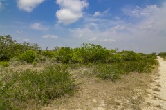 IMG_8193