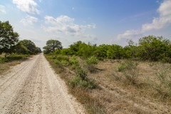 IMG_8195