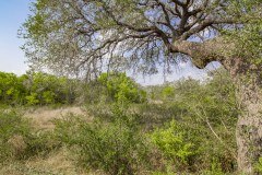 IMG_8196