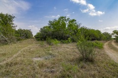 IMG_8205