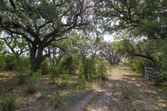 IMG_8217