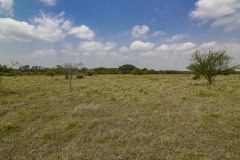 IMG_8227