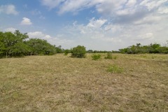 IMG_8231