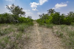 IMG_8241