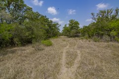 IMG_8243