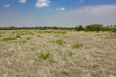 IMG_8260