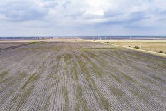 DJI_0052