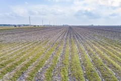 DJI_0057