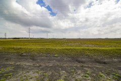 IMG_6718