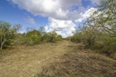 Reinecke-Road-Ranch-1