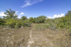 Reinecke-Road-Ranch-10