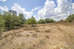 Reinecke-Road-Ranch-12