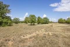 Reinecke-Road-Ranch-14