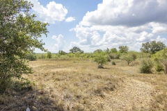 Reinecke-Road-Ranch-15
