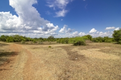 Reinecke-Road-Ranch-3