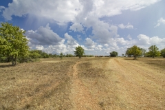 Reinecke-Road-Ranch-4