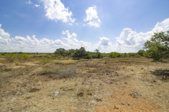 Reinecke-Road-Ranch-6