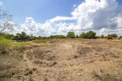 Reinecke-Road-Ranch-7