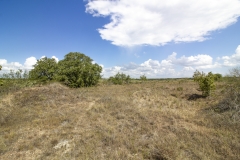 Reinecke-Road-Ranch-9