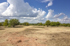 Reinecke-Road-Ranch-View