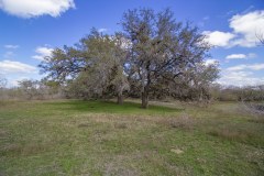 IMG_6596