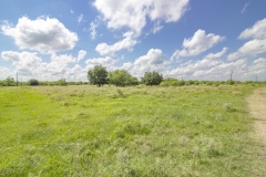75-Acres-SARR-Oak-Trees-2