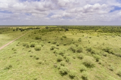 75-Acres-SARR-Pasture-Aerial