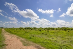 75-Acres-SARR-Pasture-View-2