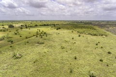 75-Acres-SARR-Pasture-View