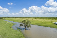DJI_0008