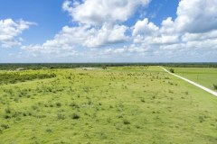 DJI_0029