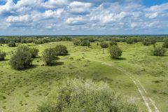 DJI_0001
