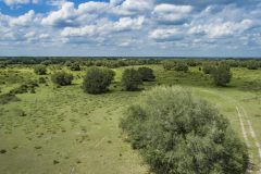 DJI_0002
