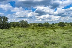 DJI_0036