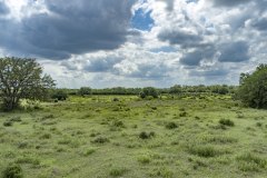 DJI_0038