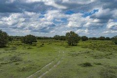 DJI_0042