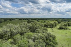 DJI_0064