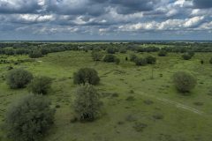 DJI_0079