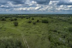 DJI_0081