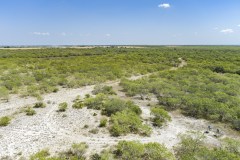 DJI_0019