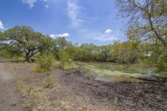 IMG_5163