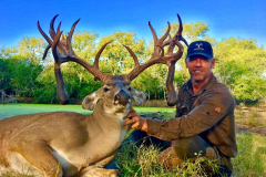 deer-pic2
