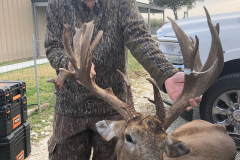 deer-pic4