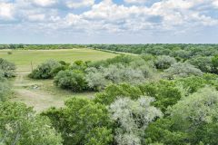 DJI_0135
